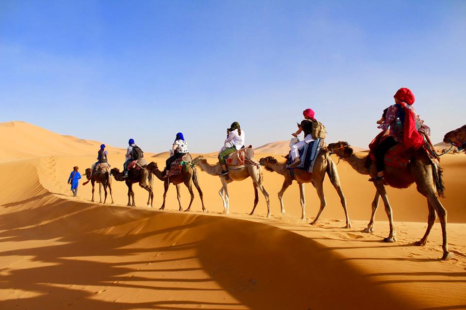 Picture of people riding camels in moroccan desert